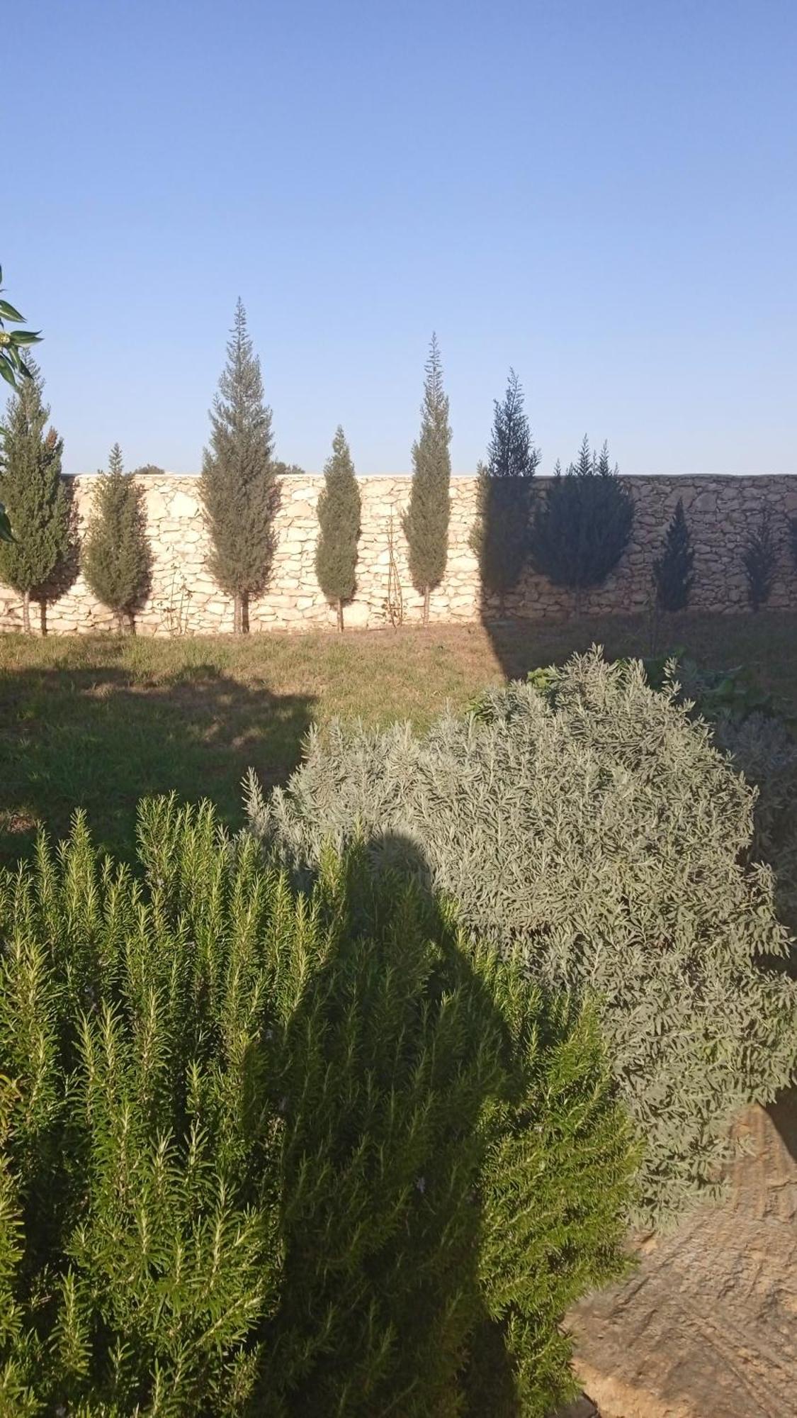 Villa Rabia Sidi Kaouki Eksteriør bilde